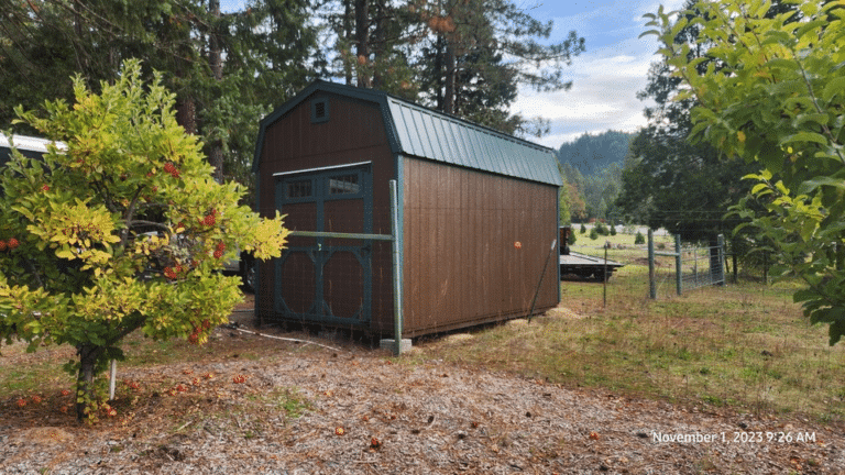 10x16 Hi-Side Barn Shed in Wolf Creek