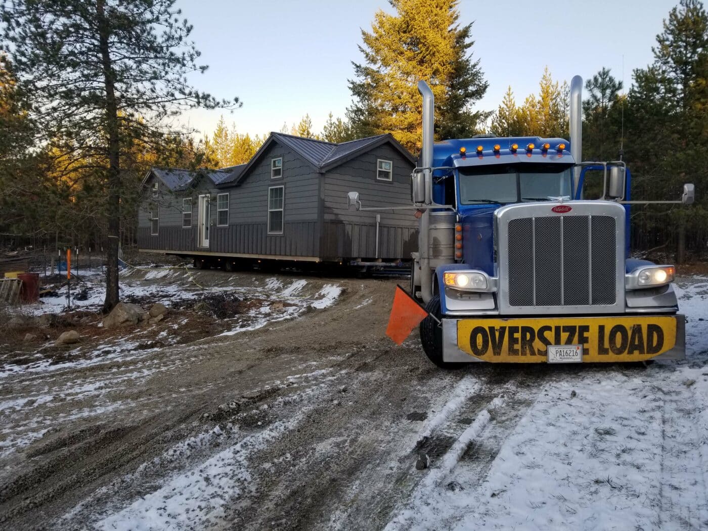 shed delivery