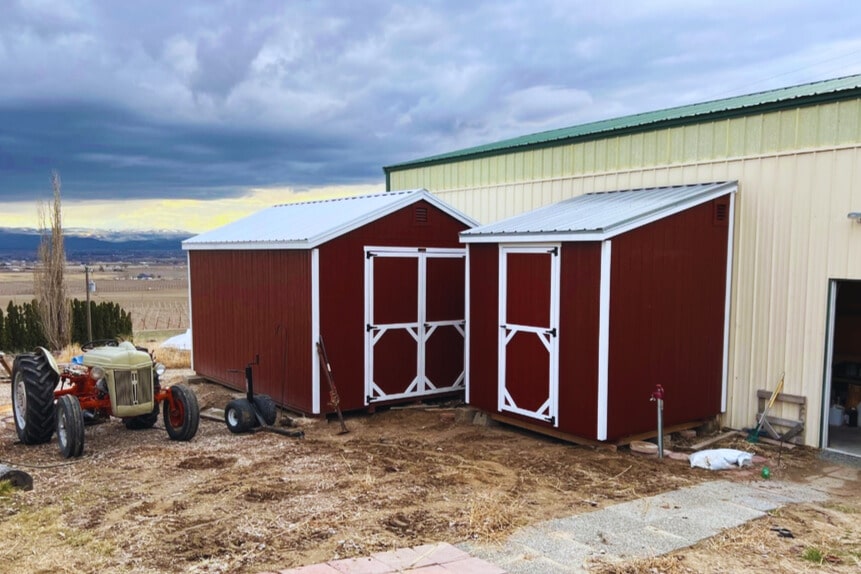 8x8 Shed in Wilder ID